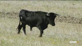 Nuñez