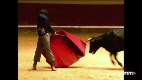 Garcigrande