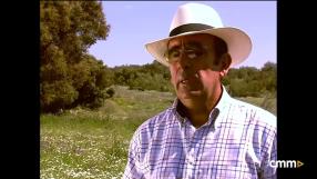 Adolfo Martín