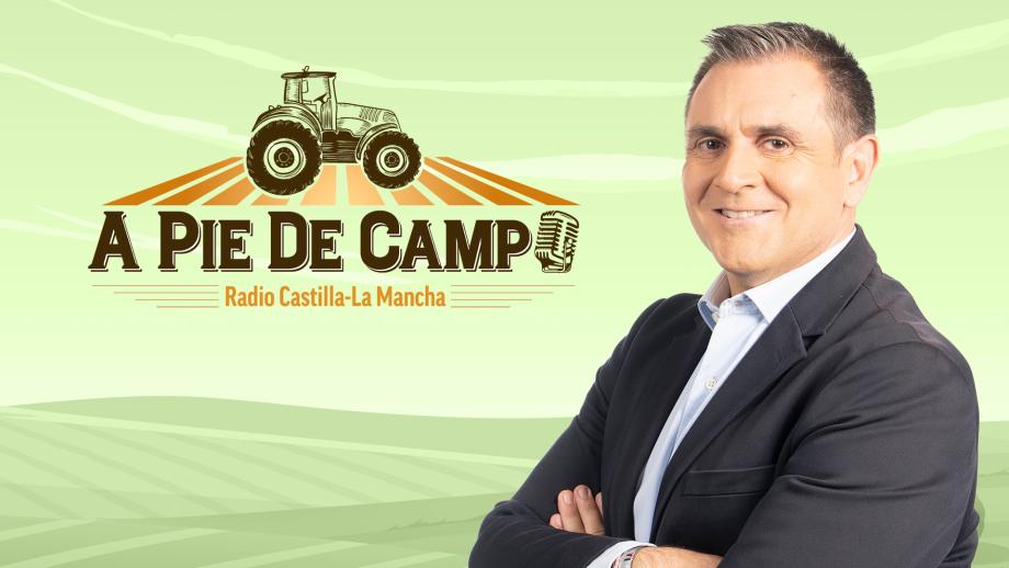 A Pie de Campo
