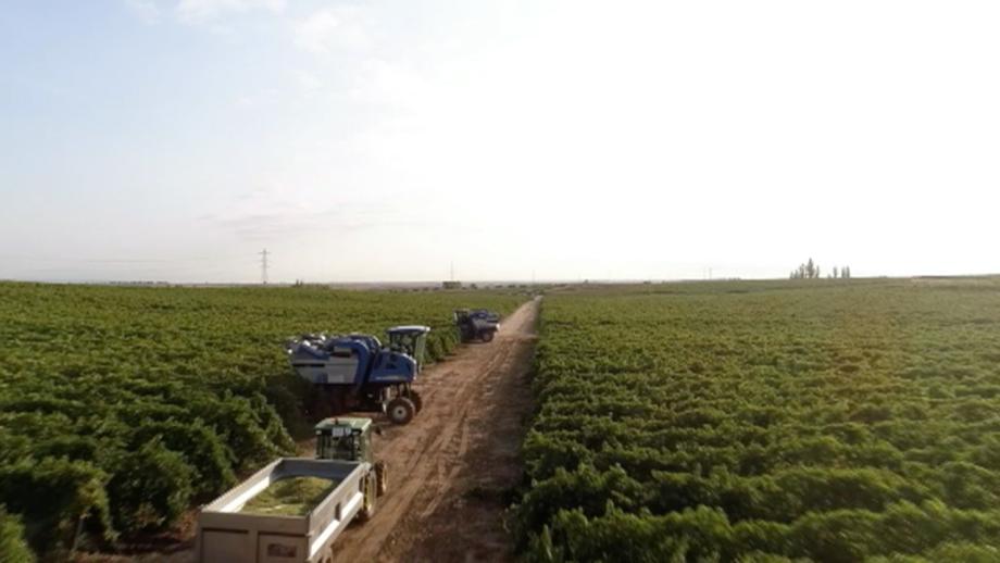 Tecnología en el campo