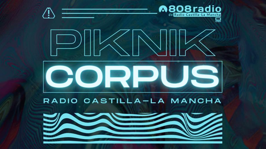 Piknik 808