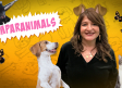 El espacio de CMMPlay “Amparanimals” supera las 310.00 reproducciones en internet en menos de un año