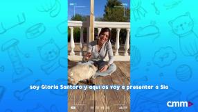 Un programa de Amparo de Aguilar y CMMPlay con la protectora de animales El Arca de Noé de Albacete.