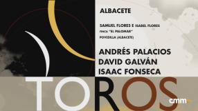 Toros desde Albacete (08/09/2024)