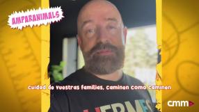 Conoce a la familia numerosa de Goyo Jiménez. Os presentamos a los perretes Mecha, Lola, Archibald Pennbrook y Sella; al p̸s̸i̸c̸ó̸p̸a̸t̸a̸ gato Pancho y a la urraca Curry (que estará por los Estados Unidos, muy seguramente).
