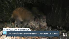 El día en Titulares. 31/01/2025