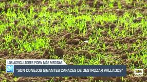 El día en Titulares